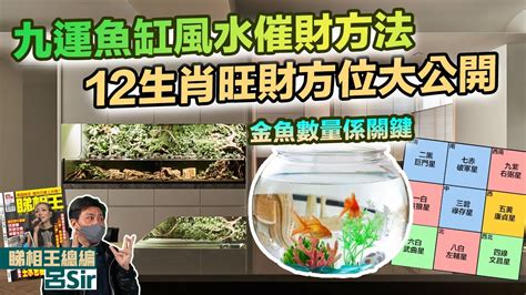 風水魚缸數量|魚缸風水：數量很重要